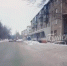 В Бийске стая собак набросилась на мальчика в центре города - Сетевое издание Толк