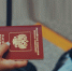 Фото: unsplash.com - Алтайская правда