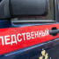 В Алтайском крае по факту госпитализации детей из реабилитационного цента в Первомайском районе возбуждено уголовное дело - Следственный комитет