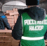 Фото: региональное Управление Россельхознадзора - Алтайская правда