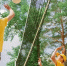 Фото: пресс-служба губернатора - Алтайская правда