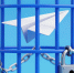 Алтайские предприниматели рассказали, как проблемы с Telegram сказались на бизнесе Фото №1 - Алтайская правда