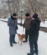 В Ленинском районе прошло рейдовое мероприятие по соблюдению правил содержания и выгула домашних животных