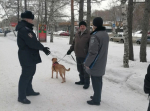 В Ленинском районе прошло рейдовое мероприятие по соблюдению правил содержания и выгула домашних животных
