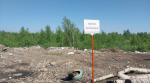 Несанкционированная свалка в Заринске