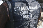 На Алтае регулярно избивавший сожительницу мужчина ответит за ее смерть в суде