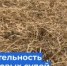   - Управление по обеспечению деятельности судей