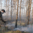 лесной пожар - Bankfax.Ru