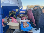 В Барнауле на шести площадках прошли продовольственные ярмарки