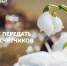 Фото: АО «Алтайэнергосбыт» - Алтайская правда