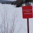 Фото: мэрия Барнаула - Алтайская правда