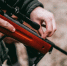 Фото: unsplash - Алтайская правда