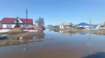 Воды в Михайловском районе
Фото: Евгения Юрьева в Max