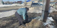 На пригородной территории района проведены мероприятия в рамках экологической акции «Чистый четверг» - Администрация г. Барнаул