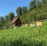 IMG_20260402_164846.png - Управление промышленности