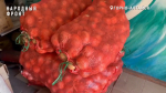 Более 600 кг продуктов собрали в Горном Алтае для сублимированных супов бойцам СВО