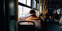 Фото: Freepik - Алтайская правда