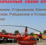 Пожароопасный сезон открыт в шести районах Алтайского края - Минприроды Алтайского края