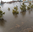 Вода на берегу Оби в Барнауле за ночь поднялась на 108 сантиметров Фото №1 - Алтайская правда