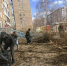 В Индустриальном районе в рамках месячника весенней санитарной очистки проведен очередной «Чистый четверг» - Администрация г. Барнаул
