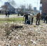 Более 2 тысяч человек приняли участие в акции «чистый четверг» в Железнодорожном районе - Администрация г. Барнаул