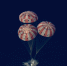 Приводнение "Ориона" / Фото: NASA - ИА Амител