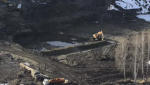 Ущерб почвам от золотодобычи в Солонешном оценили более чем в 50 миллионов рублей