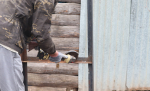 В микрорайоне «Докучаевский» обновили памятный знак Героям Советского Союза