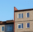 Фото: Freepik - Алтайская правда