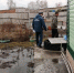 Паводок на Алтае / фото: МЧС Алтайского края - ИА Амител