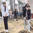 Фото: администрация Барнаула - Алтайская правда