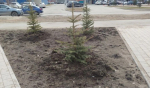 В Барнауле проверяют состояние общественных территорий после зимы