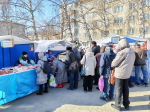 В сквере имени 60-летия СССР состоялась продовольственная ярмарка выходного дня  