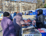 В сквере имени 60-летия СССР состоялась продовольственная ярмарка выходного дня  