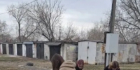 На пригородной территории продолжаются мероприятия в рамках экологической акции «Чистый четверг» - Администрация г. Барнаул