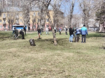 Более 5 тысяч человек приняли участие в общегородском субботнике в Октябрьском районе