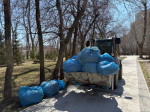 Более 5 тысяч человек приняли участие в общегородском субботнике в Октябрьском районе