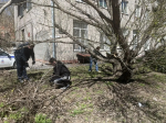 В Центральном районе Барнаула прошел общегородской субботник