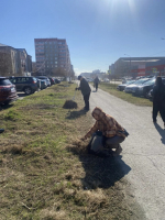 В общегородской субботник общественники наводят порядок на своих территориях