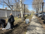 Более 1600 предприятий потребительского рынка и промышленности города приняли участие в чистом четверге и субботнике