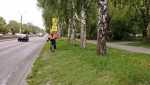 В Барнауле приводят в порядок участки вдоль обочин дорог