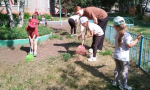 Барнаульские дошкольники получают первые уроки трудового воспитания