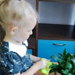 loading=