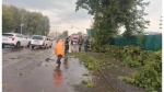 В Барнауле зафиксировали почти 100 происшествий в результате непогоды Фото №3