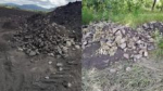Житель Алтайского края получил «условку» за незаконные раскопки на археологическом объекте