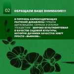Барнаульцам напоминают об ответственности за выращивание наркосодержащих растений