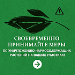 loading=