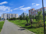 В Барнауле продолжается покос травы на общественных территориях