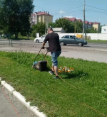 В микрорайоне Новосиликатный продолжаются работы по благоустройству и озеленению территории