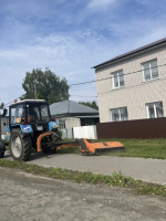 На пригородной территории проводятся мероприятия по благоустройству
